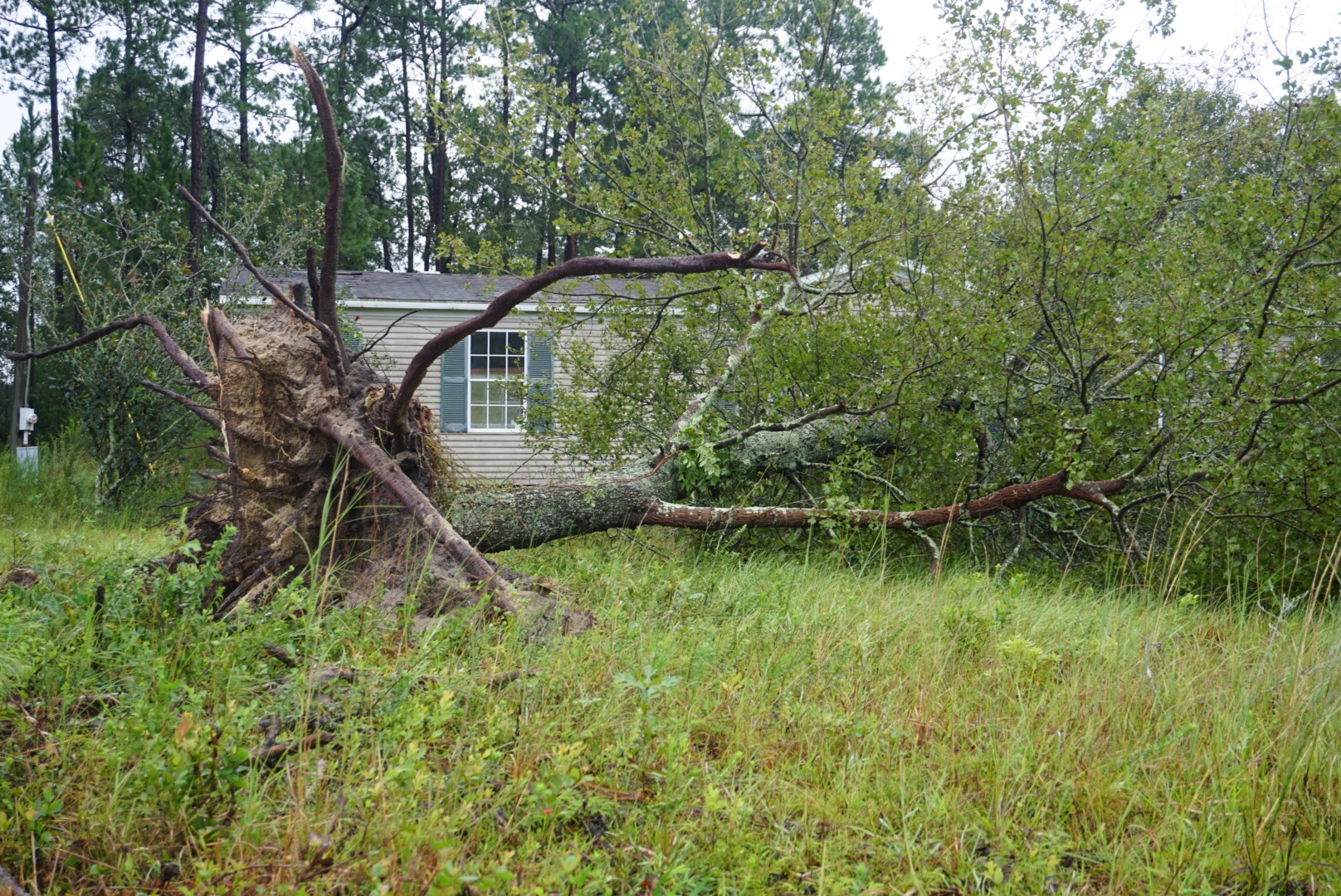 Lowndes area suffers damage after Irma The Spectator
