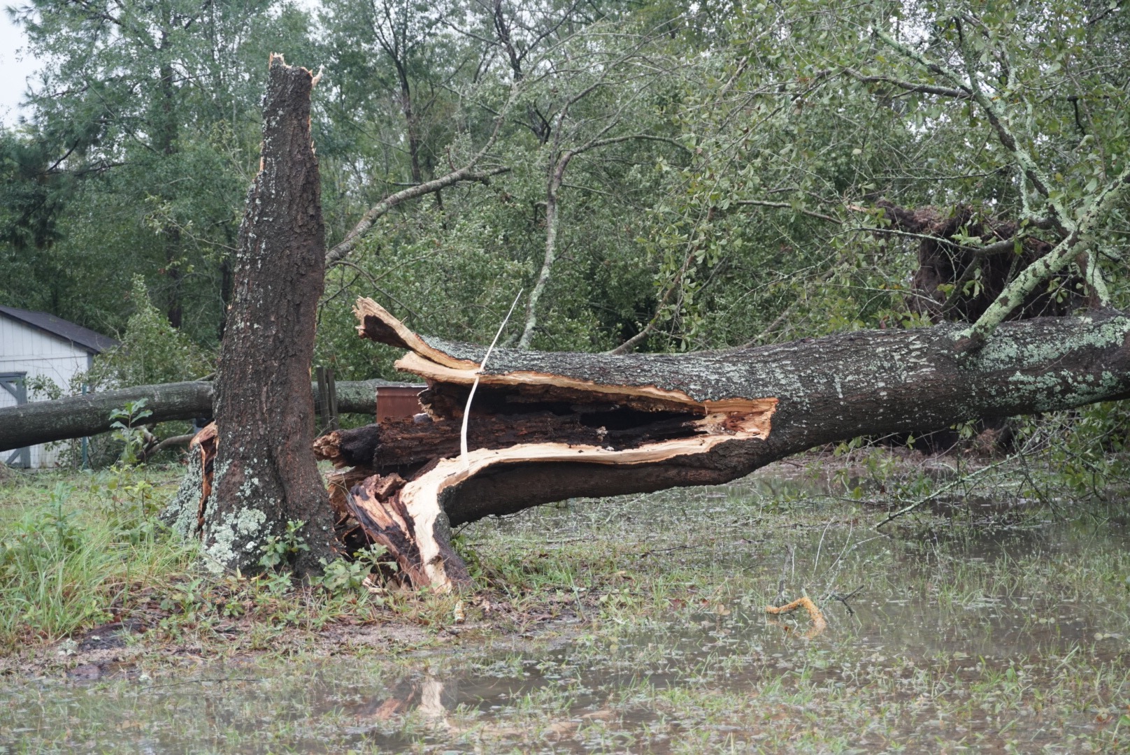 Lowndes area suffers damage after Irma The Spectator